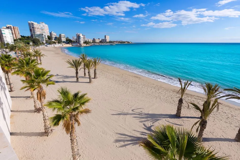 revisión coche segunda mano Alicante