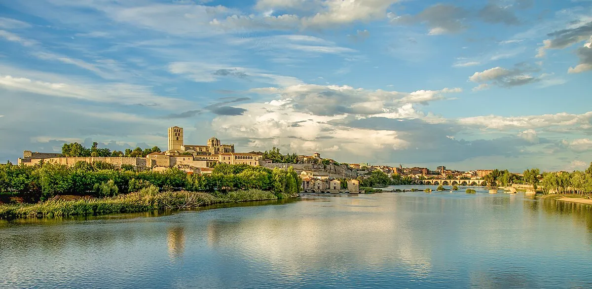 revision coche segunda mano Zamora