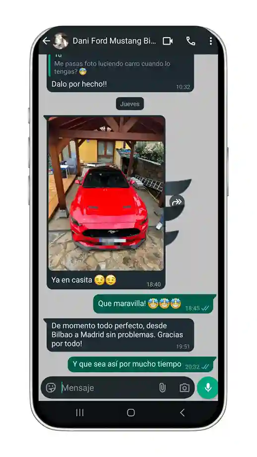 opinión de mybestcheck