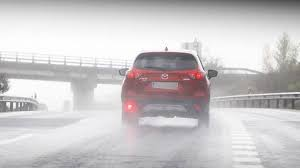 luz antiniebla trasera