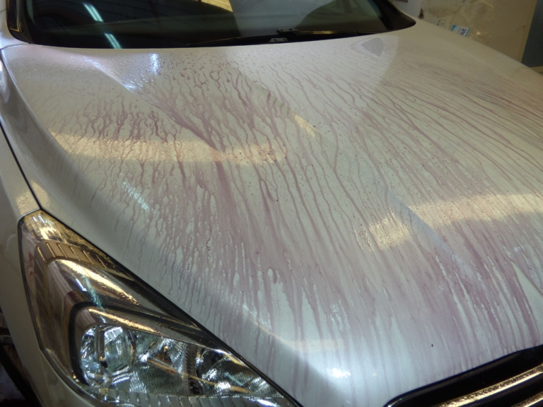 descontaminación férrica